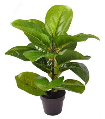 Image de Plante d'intérieur artificielle en pot 38cm Fleur artificielle Décoration de table Décoration de fenêtre