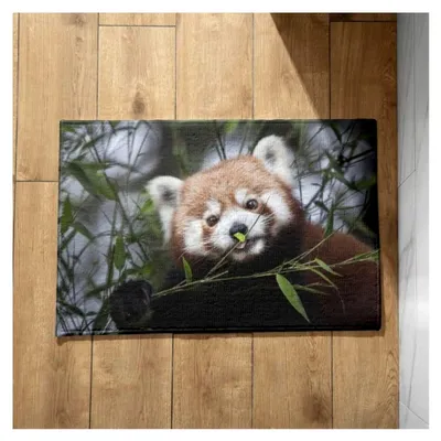 Produktbild von Personalisierte Fußmatte für den Außenbereich mit rotem Panda, lustige Fußmatte für den Innenbereich, Weihnachtsfußmatte 50x80cm, rutschfeste dekorative Fußmatte aus Plüschbaumwolle