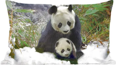 Produktbild von MuchoWow® Zierkissen Sofakissen Wohnzimmer Dekokissen 50x30 cm Panda - Jungtier - Schnee - Wohnzimmerdekoration - Polster mit Photo