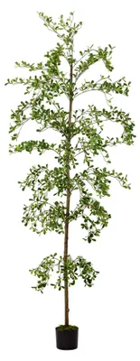Produktbild von Kunstbaum Shady Lady, 2,1 m, für die Heimdekoration, realistische künstliche Topfpflanzen mit Moos, für den Innenbereich, Bucida Buceras, 2,1 m, hohe künstliche Bäume mit natürlichem Holzstamm