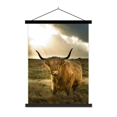 Produktbild von MuchoWow® Textilposter Schottischer Hochländer - Sonne - Tiere 60x80 cm mit schwarzem Rahmen - Plakathalter