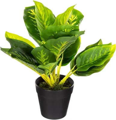 Produktbild von Künstliche pflanze zementtopf h30cm  - Atmosphera créateur d'intérieur