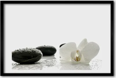 Produktbild von Bild 60x40 MDF-Rahmen, Wandkunst Orchidee