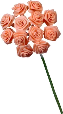 Produktbild von KNORR PRANDELL 216547200 Diorrose 10 x 15 cm apricot