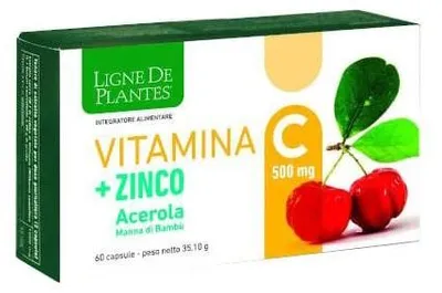 Produktbild von Vitamin C 500 mg + Zink, Acerola und Bambusstroh – 60 Kapseln