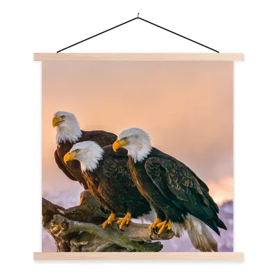 Produktbild von MuchoWow® Textilposter Vögel - Natur - Raubvögel - Adler 40x40 cm mit holzfarbenen Rahmen - Posterleiste