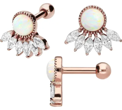 Produktbild von Ohrpiercing Chirurgenstahl Ohrpiercing 6 EINGEFASSTE KRISTALLE + SYNTHETISCHER OPAL