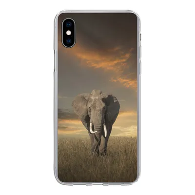Produktbild von MuchoWow® Handyhülle Schutzhülle Hülle für iPhone Xs Elefant - Tiere - Gras - Natur Silikon Softcase Handy Hülle - Handytasche
