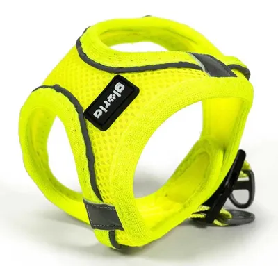Imagen del producto de Arnés para perro Gloria Trek, talla XS, para perros de 27-28 cm a 31-34,6 cm, color amarillo