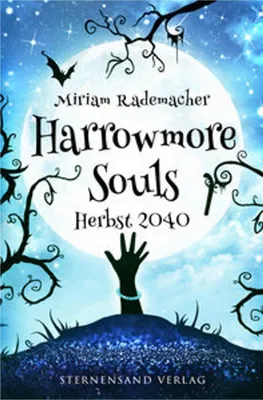 Obrázek produktu pro Harrowmore Souls (Band 4): Herbst 2040