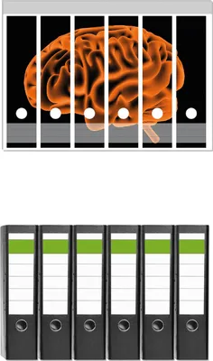 Produktbild von Wallario 6 Stück breite Ordner inkl. Klebeetiketten mit Motive Menschliches Gehirn in leuchtend orangener Farbe -  Set mit Rückenschildern / Ordnerrücken Stickern