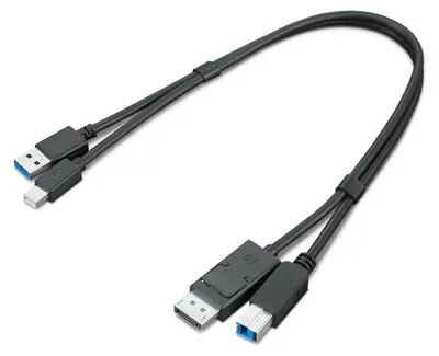 Produktbild von Lenovo 4X91D11453, 0,43 m, USB A, USB B, USB 3.2 Gen 1 (3.1 Gen 1), Schwarz
