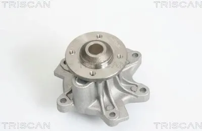 Produktbild von TRISCAN Wasserpumpe 8600 10026