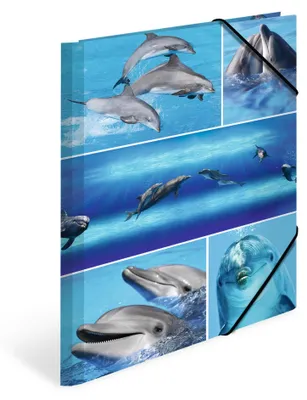Image de Classeur A4 en carton « Dauphins », lot de 3
