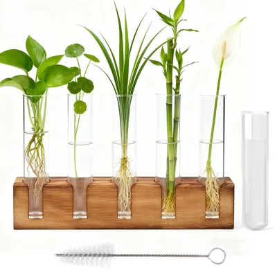 Produktbild von Hydroponische Vase – Hergestellt aus Borosilikatglas – Enthält 5 Röhrchen – Mit Holzständer – Geeignet für Tisch und Küche