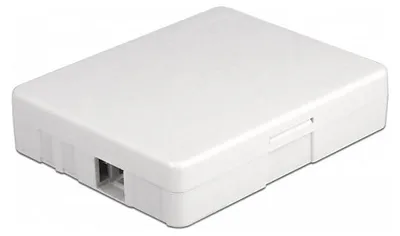 Produktbild von DeLOCK LWL Anschlussdose zur Wandmontage für 2 x SC Simplex oder LC Duplex weiß, Weiß, Acrylnitril-Butadien-Styrol (ABS), 80 mm, 100 mm, 23 mm