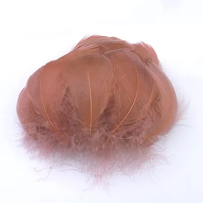100 bunte Naturfedern zum Basteln, Gänsefedern, 5-8 cm