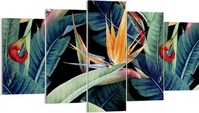 Produktbild von Bild auf Leinwand - Leinwandbild - 5 Teile - Pflanze Tropisch Blume - 160x85cm - Wand Bild - Wanddeko - Wandbilder - Leinwanddruck - Bilder - Wanddekoration - Leinwand bilder - EA160x85-5093