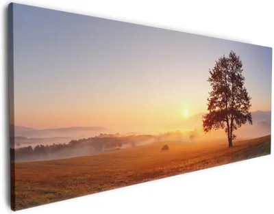 Produktbild von Wallario Premium Leinwandbild Sonnenaufgang über der Wiese mit Nebel in Größe 80 x 200 cm