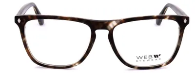 Produktbild von Web Sonnenbrille WE5390 050 55 16 145