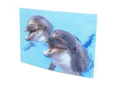 Produktbild von 3 D Ansichtskarte Delfine, Postkarte Wackelkarte Hologrammkarte Tiere Tier Delfin