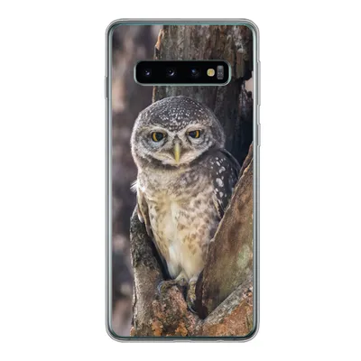 Produktbild von MuchoWow® Handyhülle Schutzhülle Hülle für Samsung Galaxy S10 Eule - Baum - Wald Silikon Softcase Handy Hülle - Handytasche