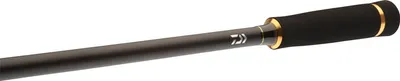 Image de Canne Daiwa Legalis Allround 3.60m 30-90g