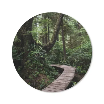 Produktbild von MuchoWow® Mauspad Mousepad Holzbrücke in den moosbewachsenen Wäldern Costa Ricas 30x30 cm - Mousepads - Maus Mat - Pad - Mausunterlage - Tischunterlage - Schreibtischmatten