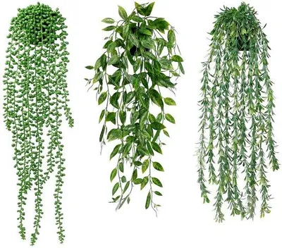Immagine prodotto di Piante rampicanti artificiali lunghe 63 cm con foglie di eucalipto