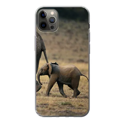 Produktbild von MuchoWow® Handyhülle Schutzhülle Hülle für iPhone 12 Pro Max Elefant - Tiere - Savanne - Natur Silikon Softcase Handy Hülle - Hartschale