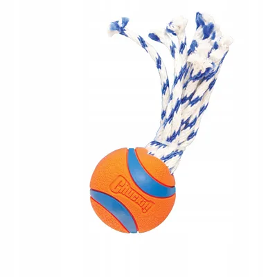Immagine prodotto di Palla ChuckIt! ULTRA TOSS M con corda per il cane