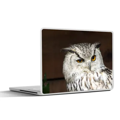 Produktbild von MuchoWow® Laptop Aufkleber Sticker Cover Braune Eule nickt 31x22.5 cm - Laptop-Deko