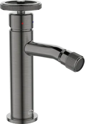 Obrázek produktu pro Designová bidetová armatura vertikální se zátkou grafitová