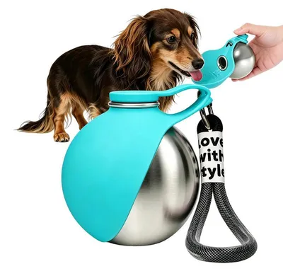 Produktbild von Hundetrinkflasche Edelstahl, 285ml, Silikonnapf faltbar, auslaufsicher, Karabiner – für Spaziergang & Reise (Blau)