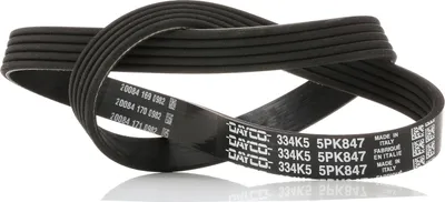 Produktbild von DAYCO Keilrippenriemen 847,0mm für FORD Focus II Schrägheck (DA, HCP, DP) 5PK847