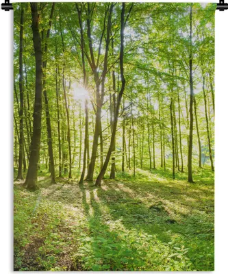 Produktbild von MuchoWow® Wandteppich Wandbehang Natur - Bäume - Wald - Grün - Sonnenlicht 150x200 cm Tapisserie Dekoration Wandtuch - Wandaufhängung - Moderner