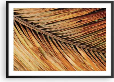 Produktbild von Gerahmtes Poster - Schwarzer Rahmen - Orange Blatt Tropisch - 70x50 cm - Wand Bild - Wanddeko - Wandbilder - Kunstposter - Wandposter - Bilderrahmen - Bilder - Kunstdruck - P2BAA70x50-4876