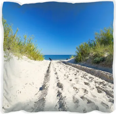 Produktbild von Wallario Premium Kissen, weiche Oberfläche, mit Motiv Auf dem Sandweg zum Strand - Blauer Himmel über dem Meer, Größe: 40 x 40 cm, mit weißer Rückseite