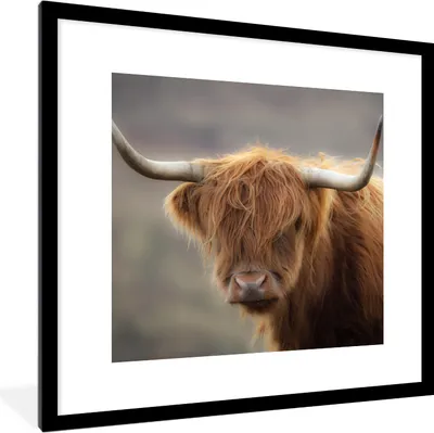 Produktbild von MuchoWow® Gerahmtes Poster Schottischer Highlander - Hörner - Haare 40x40 cm - Poster mit Schwarzem Bilderrahmen Wandposter Rahmen Foto Bilder - Poster - Plakat im Rahmen