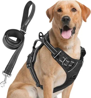Produktbild von Famanu Hundegeschirr XL für große Hunde - Anti-Zug, wasserdicht & verstellbar
