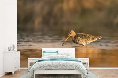 Produktbild von MuchoWow® Fototapete für Wohnzimmer oder Schlafzimmer Wandtapete Vinyl Motivtapete Eine Uferschnepfe steht im Wasser - 450x300 cm - Gemusterte