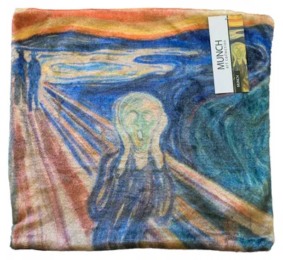 Image de Carbotex Housse de coussin flanelle 40x40 cm