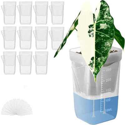 Produktbild von Anzuchttöpfe transparent mit Etikett | 12 Stück quadratisch | Pflanztöpfe Plastik für Setzlinge | Pflanzenaufzucht