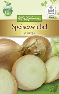 Produktbild von Speisezwiebel Rinjsburger Nr. 4 | Zwiebelsamen von N.L. Chrestensen