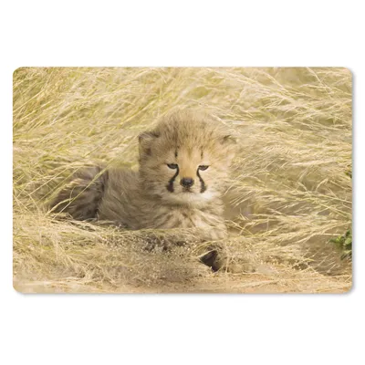 Produktbild von MuchoWow® Mauspad Mousepad Gepard - Jung - Gras 27x18 cm - Mousepads - Maus Mat - Pad - Mausunterlage - Büroartikel - Desk Matten
