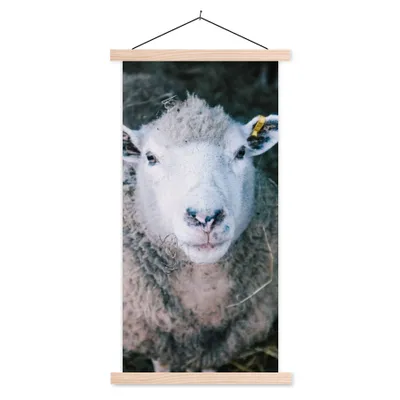 Produktbild von MuchoWow® Textilposter Schafe - Tiere - Rinder 60x120 cm mit holzfarbenen Rahmen - Holz
