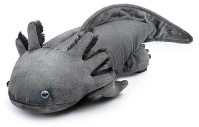 Productafbeelding van Pluche Axolotl - 20 inch - Grijs