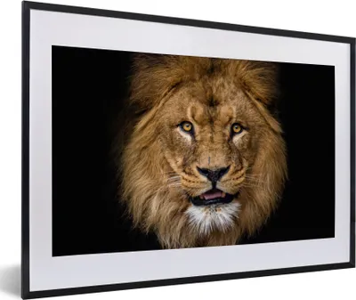 Produktbild von MuchoWow® Gerahmtes Poster Löwe - Porträt - Schwarz - Tiere 60x40 cm - Poster mit Schwarzem Bilderrahmen Wandposter Rahmen Foto Bilder - Schlafzimmer - Plakat in Rahmen - Drucken