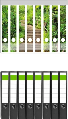 Produktbild von Wallario 8 Stück schmale Ordner inkl. Klebeetiketten mit Motive Steintreppe im Wald -  Set mit Rückenschildern / Ordnerrücken Stickern