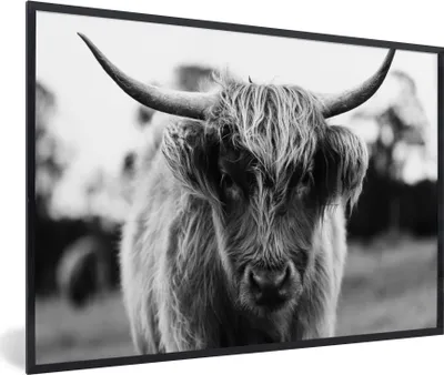 Produktbild von MuchoWow® Gerahmtes Poster Schottischer Highlander - Kuh - Gras - Tiere - Natur 60x40 cm - Poster mit Schwarzem Bilderrahmen Wandposter Rahmen Foto Bilder - Printing - Wanddeko Schlafzimmer